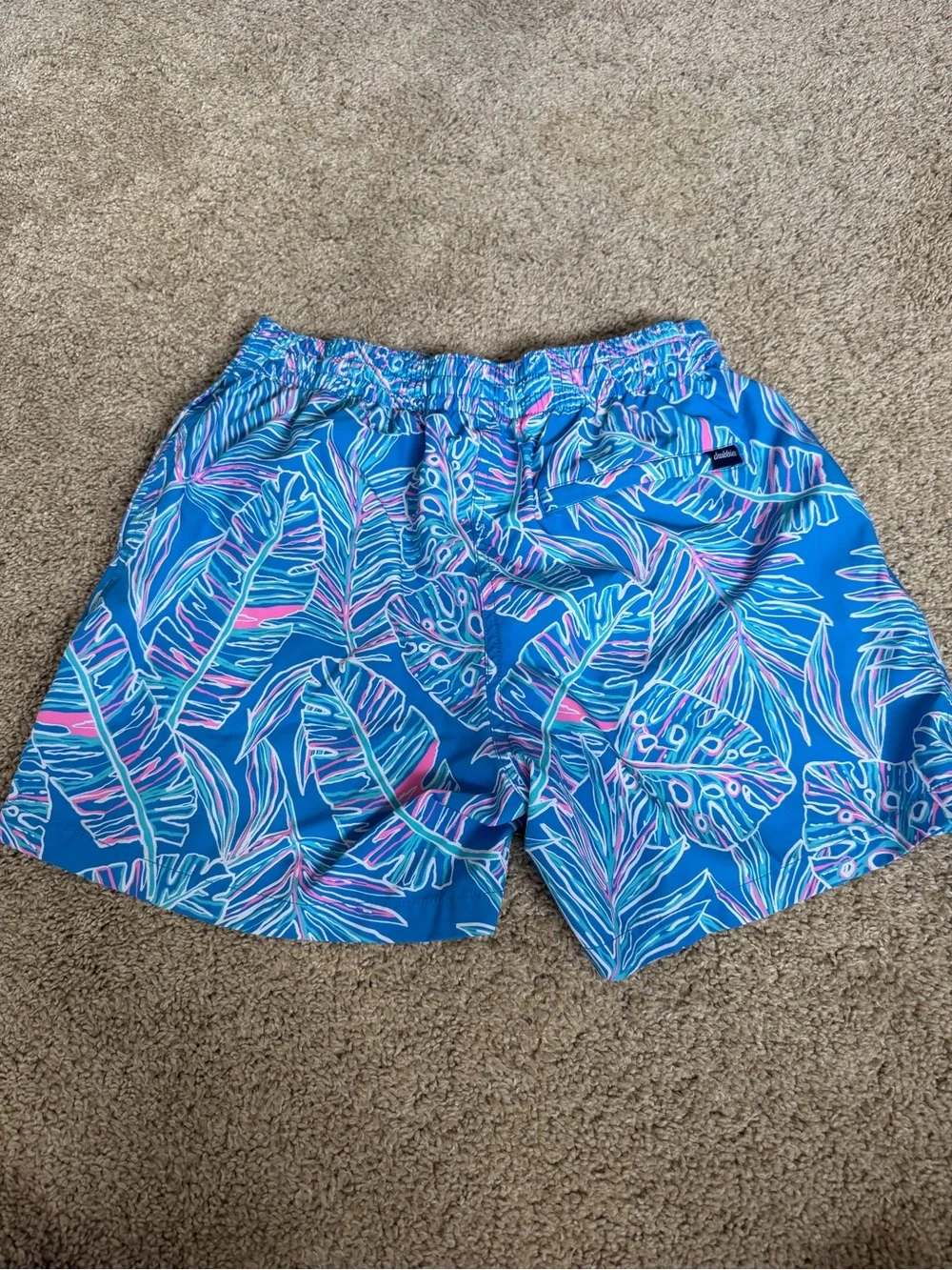 chubbies Blue Tropical Leaf Print Drawstring Shorts